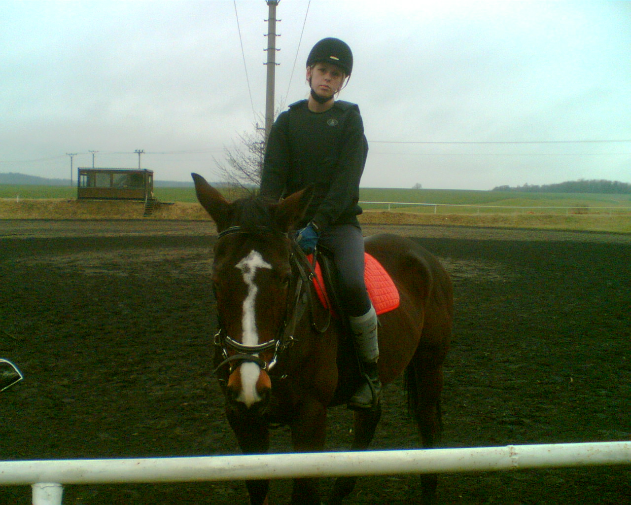 Obraz003.jpg