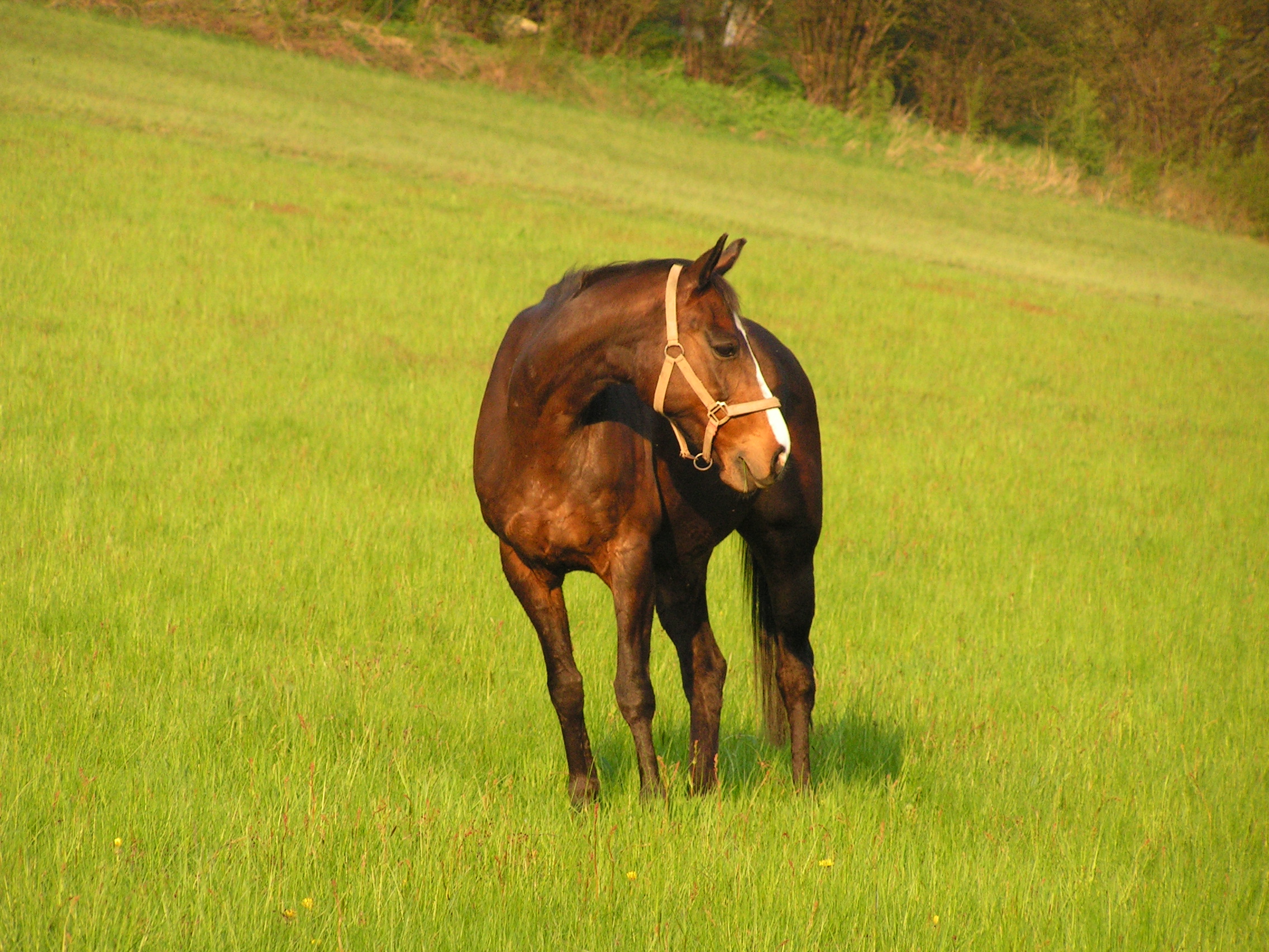 PICT2815.JPG