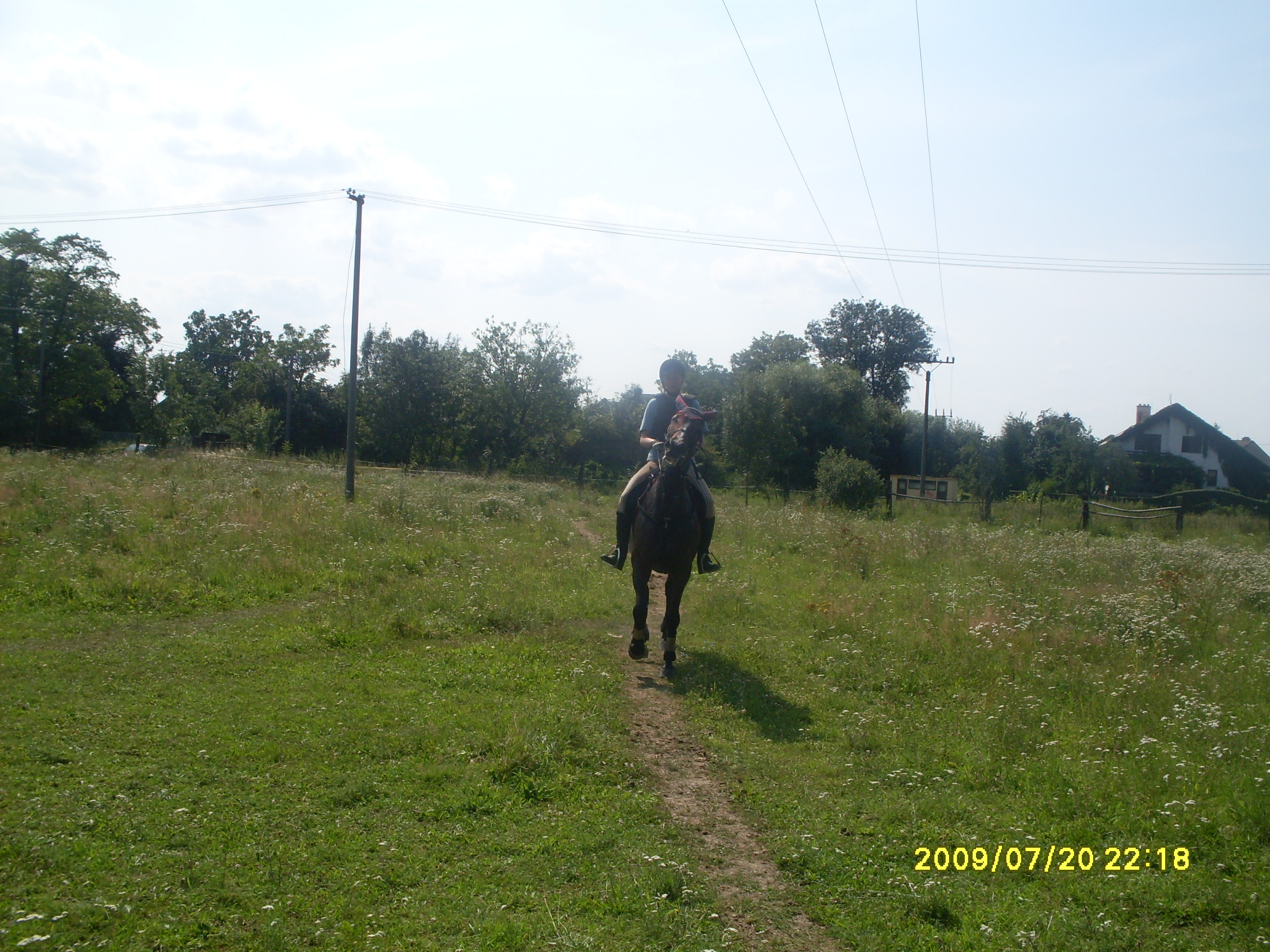 SDC11913.JPG